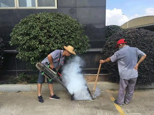 广州增城专业除四害与保洁服务 守护家庭与环境健康