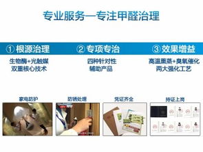 黄浦区专业除甲醛服务 打造健康宜居的清新家园